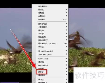 KMPlayer切换简体中文设置教程_wishdown.com KMPlayer切换简体中文设置教程_wishdown.com