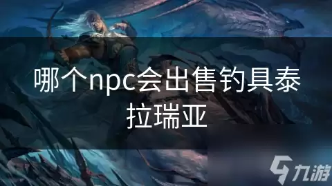 ̩�������ĸ�NPC������