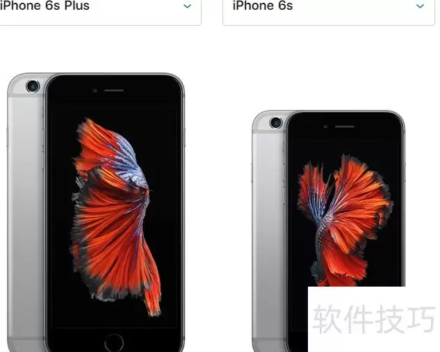 һ�Ŀ���6s��6Sp���Ĳ���ȫ��λ��ȶԱȽ���