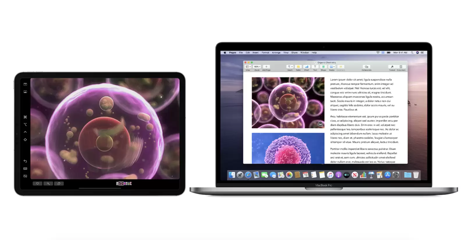 iPad��Mac�溽Ӳ��Ҫ����ָ��