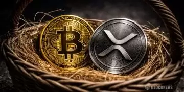 2026��XRPͶ��ָ�ϣ����Ӧ�Լ��ܻ��Ҷ�Ԫ�����ƣ�