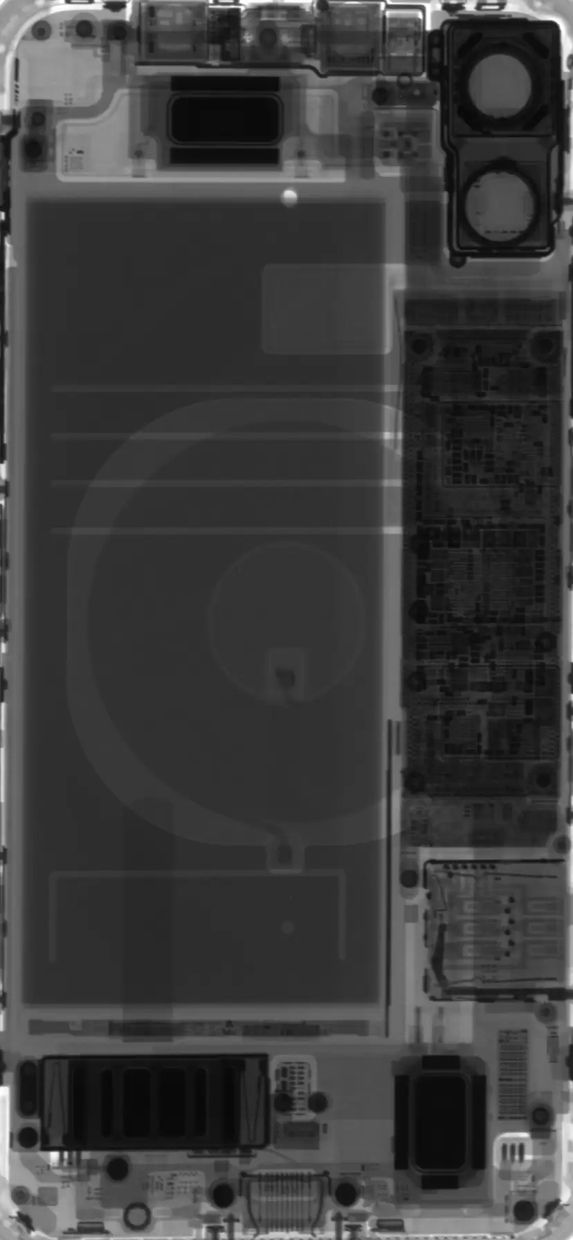 壁纸汇 | iPhone 11 系列内部结构及 X 光透视图(全尺寸)壁纸 壁纸汇 | iPhone 11 系列内部结构及 X 光透视图(全尺寸)壁纸