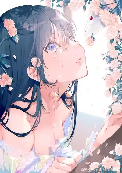 pixiv��ҳ����ѹ�����������ߵ�¼����