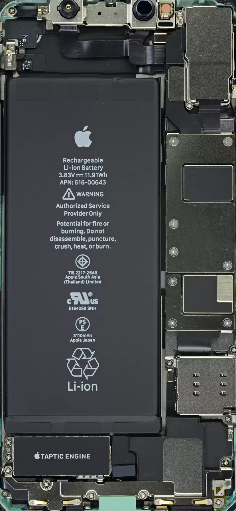 iPhone 11ϵ��ȫ�ߴ��ڲ��ṹX��͸��ͼ��ֽ
