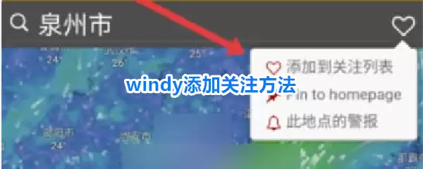 Windy���ӹ�ע��ϸ��������