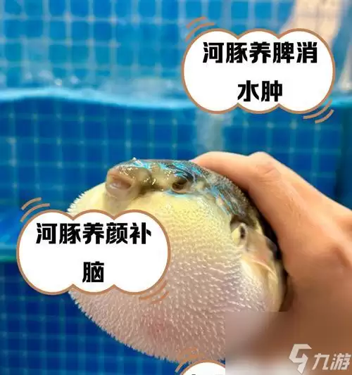�ҵ�������������Ч��������ȫ����