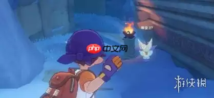 ����������������׽�ص�����