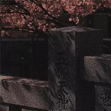 �����˸�Ů��������������ôȡ����ѡ100���Ƽ�