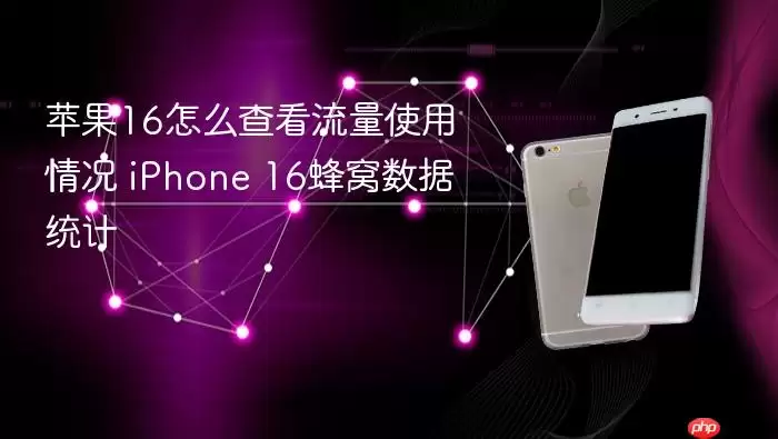 iPhone 16流量使用情况查看方法_wishdown.com 苹果16怎么查看流量使用情况 iPhone 16蜂窝数据统计