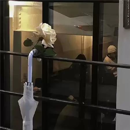 ����Ů���˸�����100������ѡ�ϼ����������