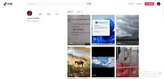 最新抖音官方入口快速注册详细步骤指南_wishdown.com 抖音官方入口怎么快速注册