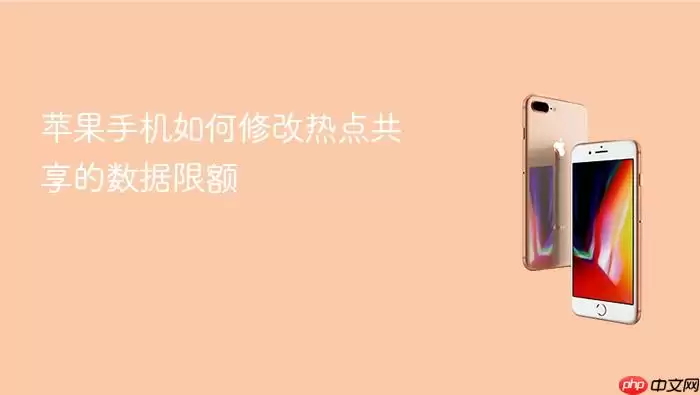 苹果手机修改热点共享流量限额的方法_wishdown.com 苹果手机如何修改热点共享的数据限额