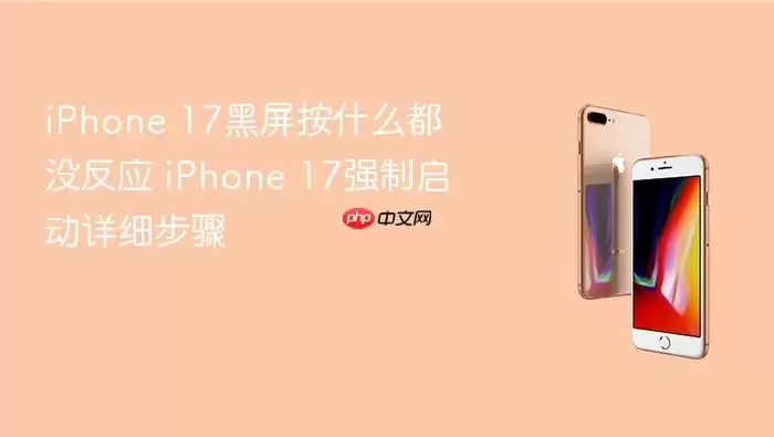 iPhone 17黑屏无法操作?强制重启步骤指南_wishdown.com iPhone 17黑屏按什么都没反应 iPhone 17强制启动详细步骤