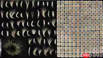 失控进化种子优质基因搭配攻略_wishdown.com 失控进化种子优质基因搭配攻略_wishdown.com