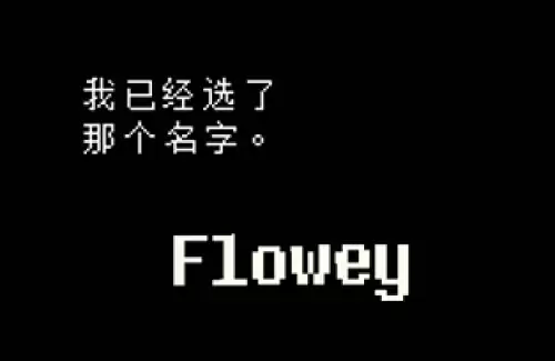 传说之下取名彩蛋是什么 undertale取名彩蛋汇总 传说之下取名彩蛋是什么 undertale取名彩蛋汇总