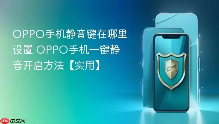 OPPO�ֻ����������÷��� һ�����������������