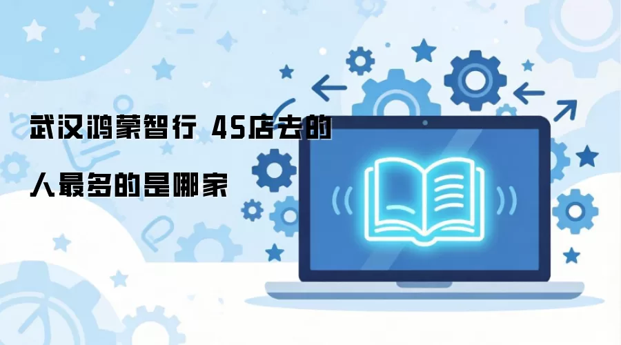 �人���������ļ�4S����������