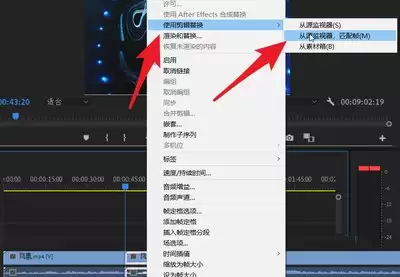 PremiereԴ�������鿴�زİ�ȫ�߾�ķ���