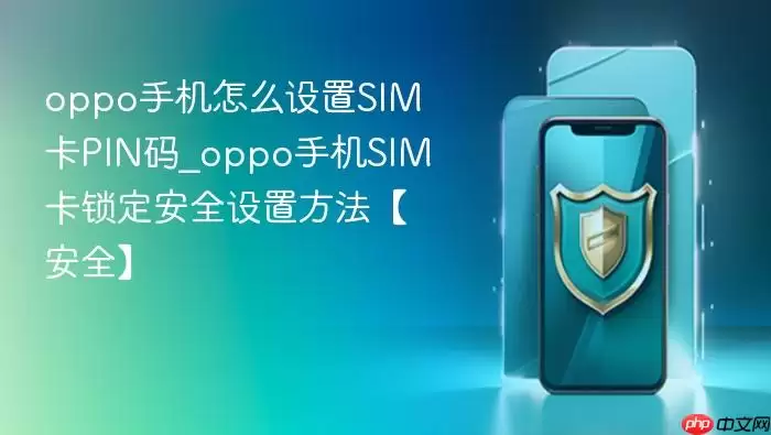 OPPO�ֻ�SIM��PIN�������������ȫָ��
