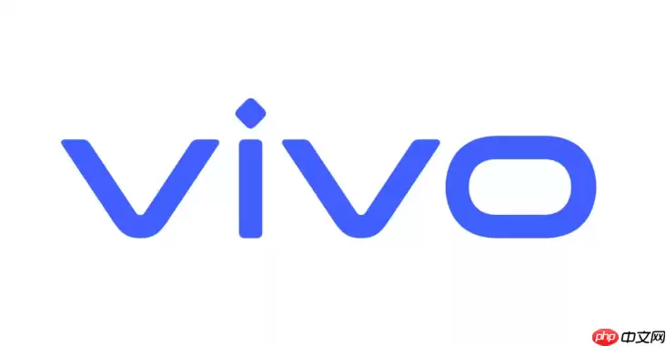 vivo�Ʒ�����԰�������ߵ�¼�������ҳ��ʹ��ָ��