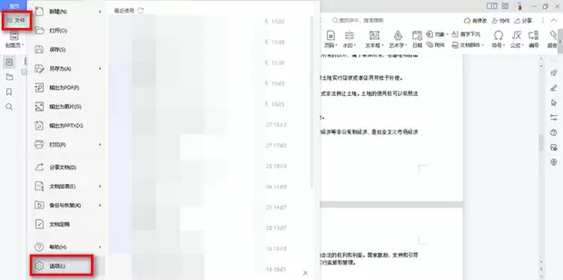 WPS����ҳ�����ò������