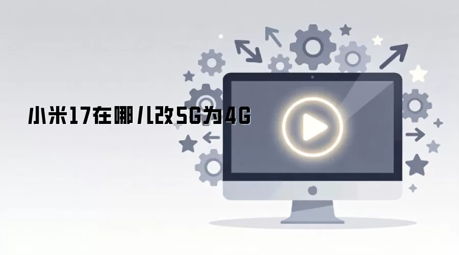 С��17�л�5G��4G�������÷���