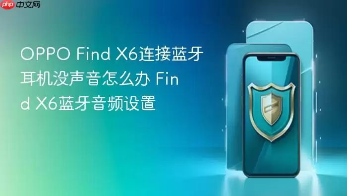 OPPO Find X6�����������������������Ƶ����ָ��