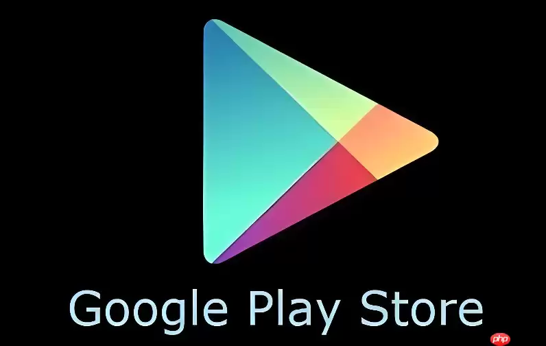 Google Play�̵�ٷ����ط���ͨ��