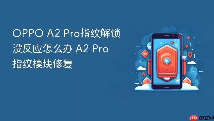 OPPO A2 Proָ��ʧ�������� ָ��ģ��ά��ָ��