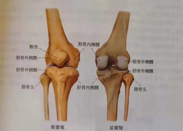 走路时膝盖突然一“软” 是腿出问题了?专家解答_wishdown.com 走路时膝盖突然一“软” 是腿出问题了?专家解答_wishdown.com