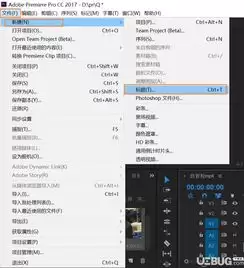 ��Premiere Pro�и���Ƶ����Ť��Ч������ϸ����̳�