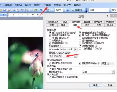 Word 2016�޶�ģʽ���غ��ߵ����÷���