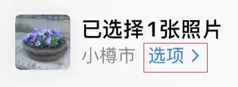 iOS 13��Ƭ������˽���� ����λ����Ϣ