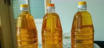 ��������ʳ���ͳ���ĸ�������