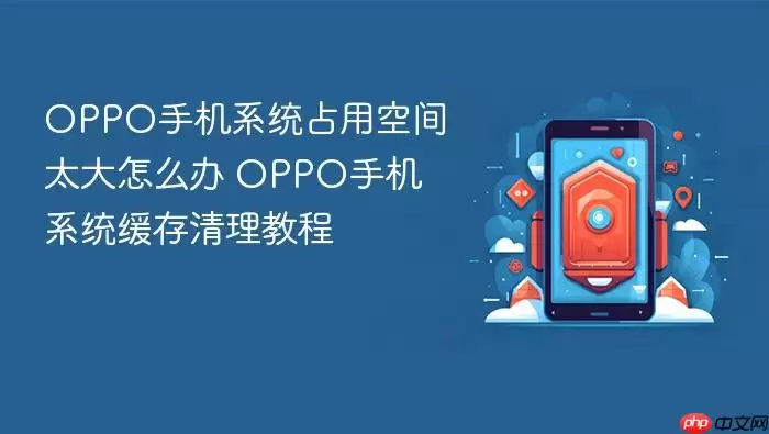OPPO�ֻ�ϵͳռ�ÿռ�̫�󣿻��������̳�