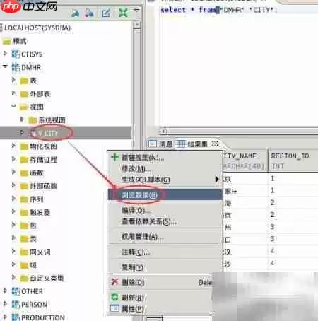 Windows达梦数据库创建视图图文教程_wishdown.com Windows达梦数据库创建视图图文教程_wishdown.com