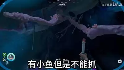深海迷航2水下彩蛋位置全汇总_wishdown.com 深海迷航2水下彩蛋有哪些