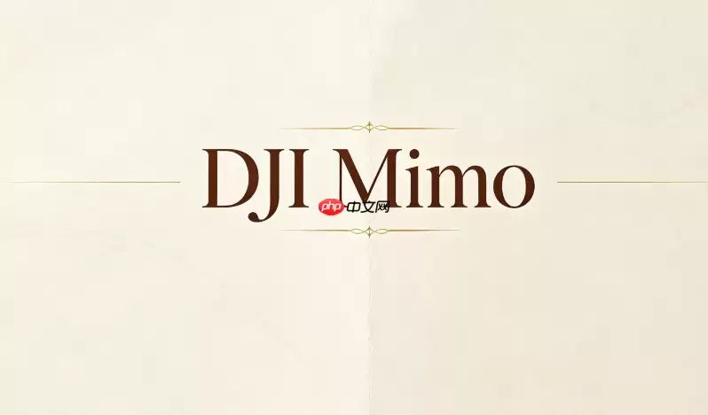 DJI Mimoת����Чʹ�ü��� ����Ƶ�νӸ�������Ȼ
