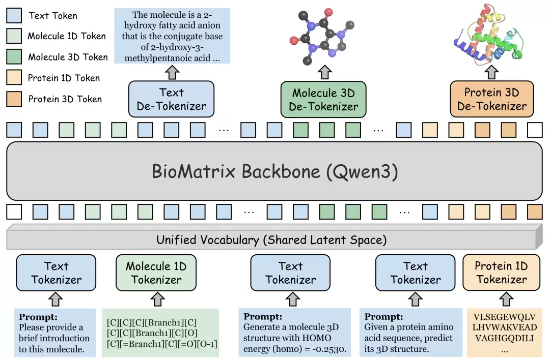 BioMatrix 原生统一生物序列结构与语言模型_wishdown.com BioMatrix 原生统一生物序列结构与语言模型_wishdown.com
