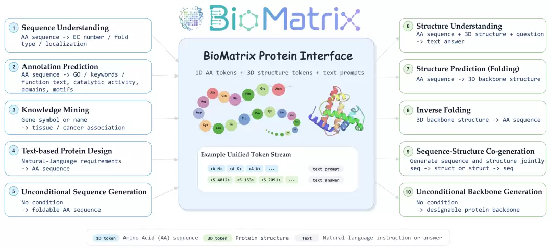 BioMatrix 原生统一生物序列结构与语言模型_wishdown.com BioMatrix 原生统一生物序列结构与语言模型_wishdown.com