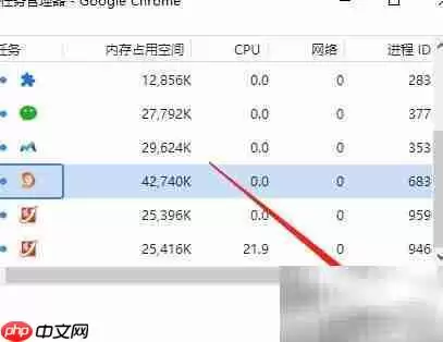 谷歌浏览器任务管理器结束进程详细步骤_wishdown.com 谷歌浏览器任务管理器结束进程详细步骤_wishdown.com