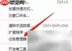 谷歌浏览器任务管理器结束进程详细步骤_wishdown.com 谷歌浏览器任务管理器结束进程详细步骤_wishdown.com