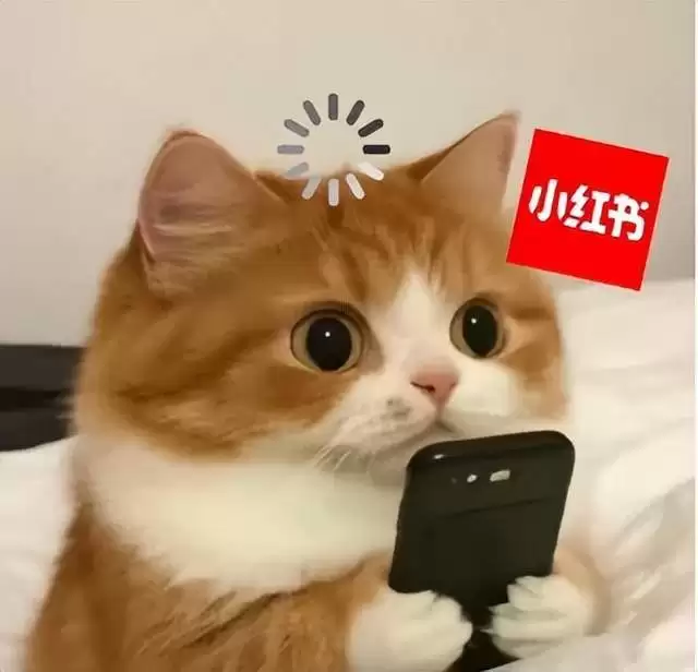 С�����ģ��IMO���ֶ�𣬵�����ⷨ�ھ�ѡ��ֱ������