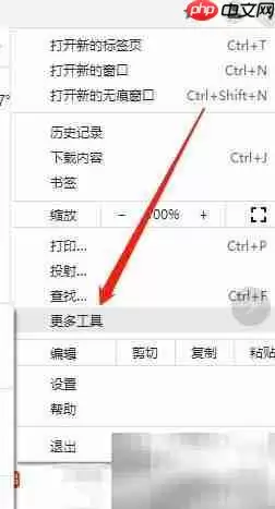 谷歌浏览器任务管理器结束进程详细步骤_wishdown.com 谷歌浏览器任务管理器结束进程详细步骤_wishdown.com