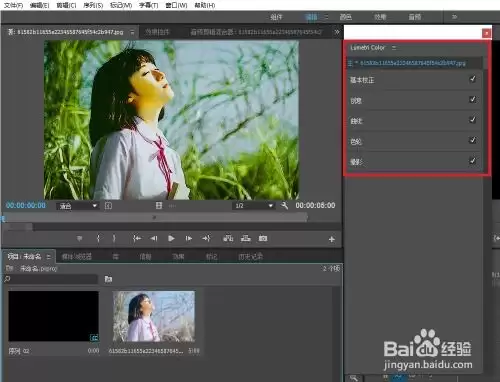 Premiere��Ƶ������Lumetri��ɫ���ܵ���ϸʹ�ò���̳�