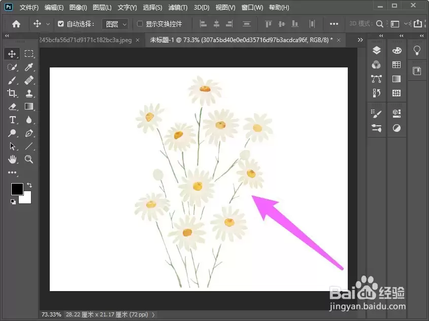 Photoshopѡ�����ɣ�����ѡ���Լ���Ҫ�Ĳ���