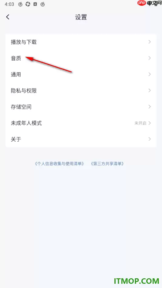 网易云音乐手机版更改默认下载音质教程_wishdown.com 网易云音乐手机版更改默认下载音质教程_wishdown.com