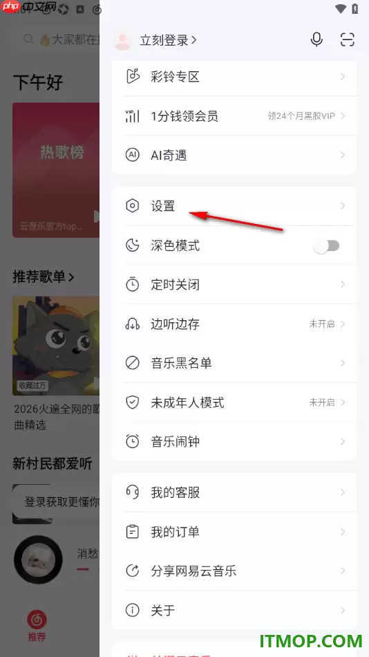 网易云音乐手机版免费歌曲边听边存设置方法_wishdown.com 网易云音乐手机版免费歌曲边听边存设置方法_wishdown.com