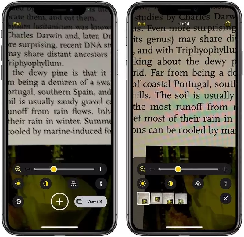 iOS 14 “放大器”功能全面改进:支持添加到主屏幕 iOS 14 “放大器”功能全面改进:支持添加到主屏幕