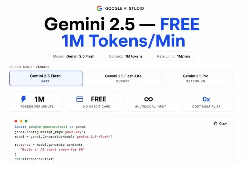 �ȸ�����Gemini API��Ѷ�� ����ģ�ͷ�������������